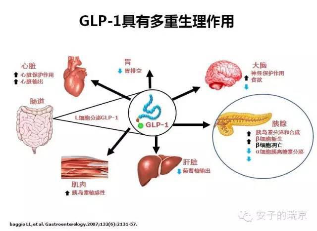 澳门新葡官网进入网站8883